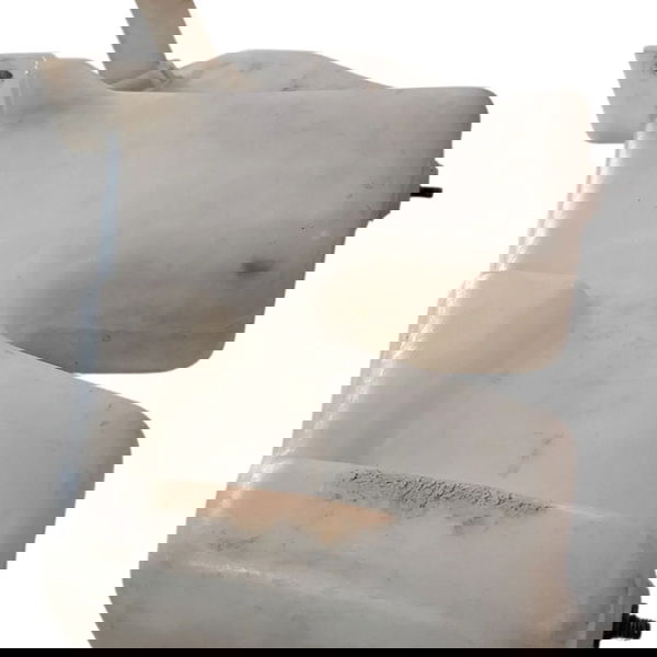 Reservatório Água Limpador Para-brisa Fiesta 96/02 Cx746 Branco