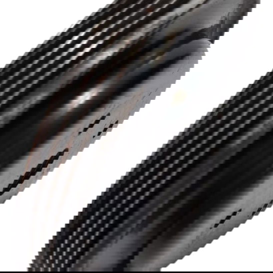 Flauta S/ Sensor Triton Dakar 3.2 2008/2015 Cx492