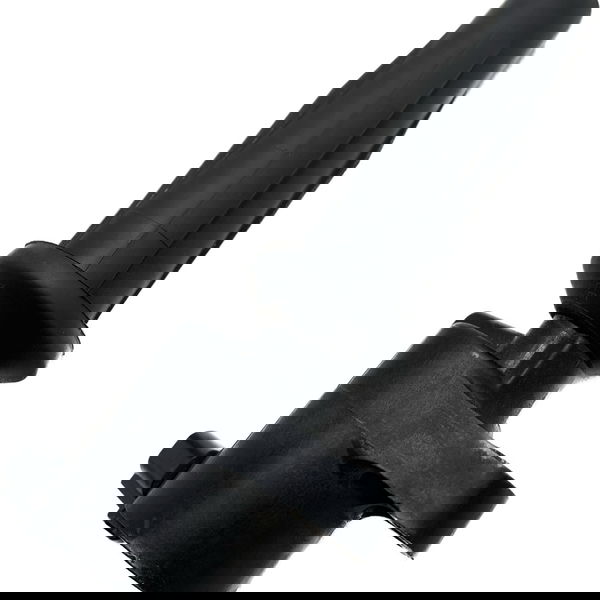 Bobina Ignição Ford Ecosport 2.0 Duratec Aut 2013/2017 Cx383