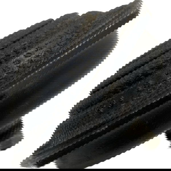 Batente Coxim Dianteiro Toyota Hilux 2.8 2016/2022 Cx353