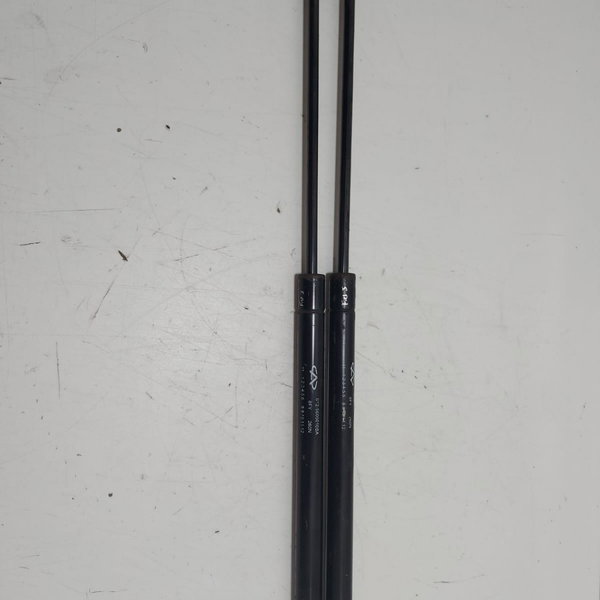 Par Amortecedor Tampa Traseira Chery Face 2012 (cx29)