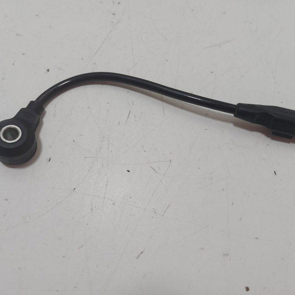 Sensor Detonação Peugeot 2.0 16v 2006 (9650938580) (cx39)