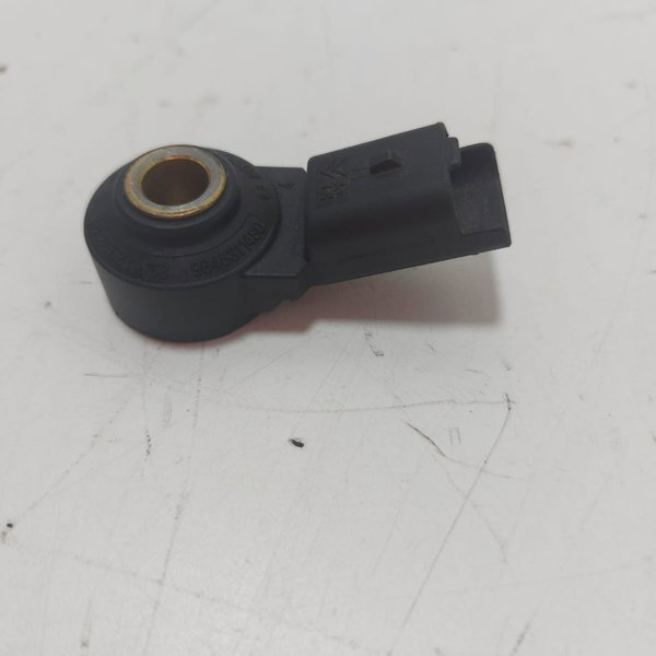 Sensor Detonação Peugeot 206/207/ 307 (0261231168) Cx158