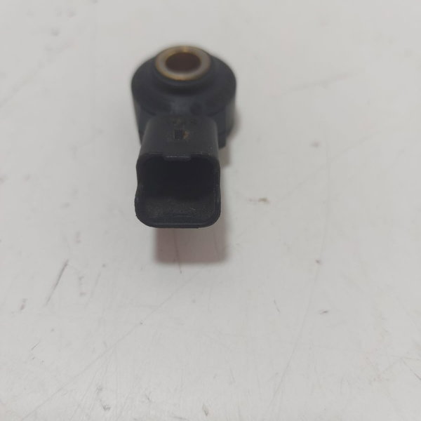 Sensor Detonação Peugeot 206/207/ 307 (0261231168) Cx158