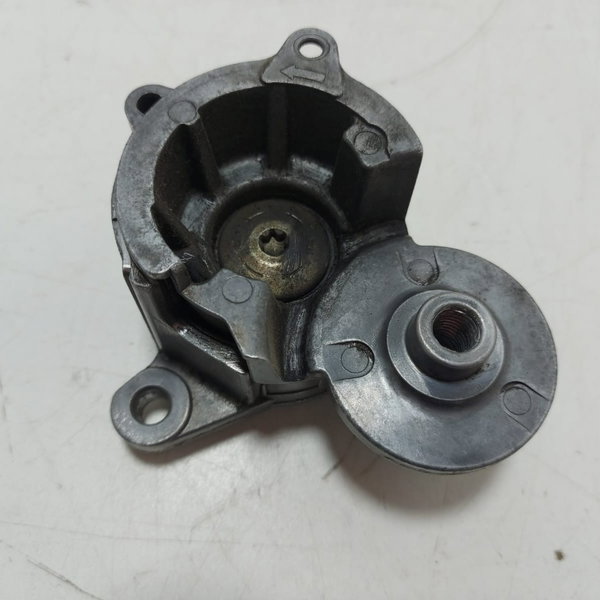 Tensor Correia Alternador Citroen/peugeot (9636207480) Cx205