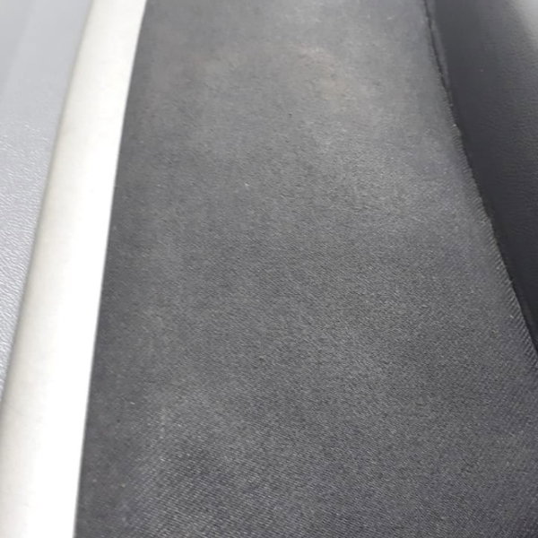 Forro De Porta Sandero Traseiro Esquerdo *detalhes*