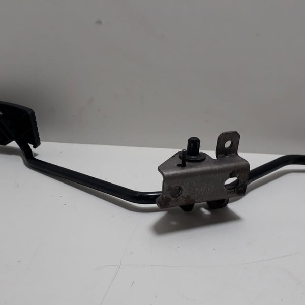 Pedal Do Acelerador Pajero Tr4 2010 Cx63