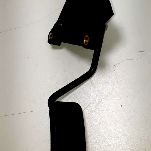 Pedal Acelerador Gran Scenic 2009 Cx64