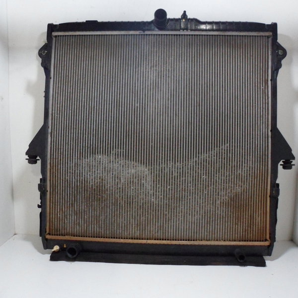 Radiador De Água Ford Ranger 3.2 2013/2017 Original