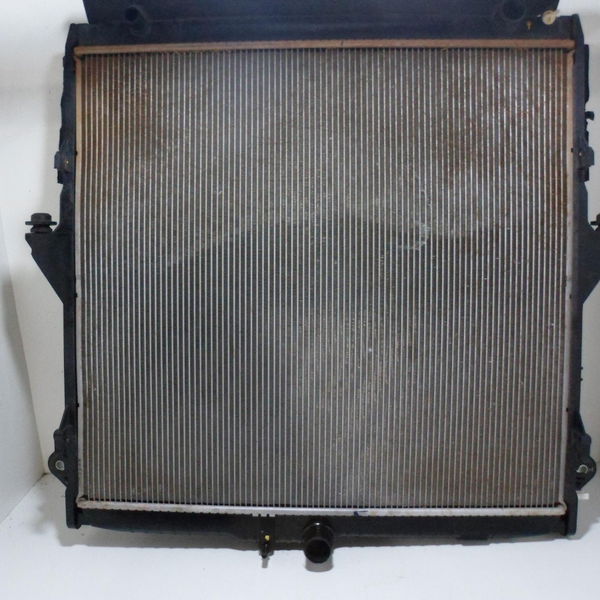 Radiador De Água Ford Ranger 3.2 2013/2017 Original