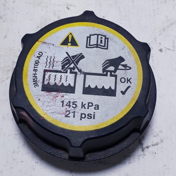 Tampa Do Radiador Ford Focus 2014 Cx158