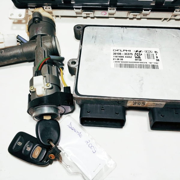 Kit Modulo Injeção Sorento V6 Gas 04 09 391063c375)  Cx193