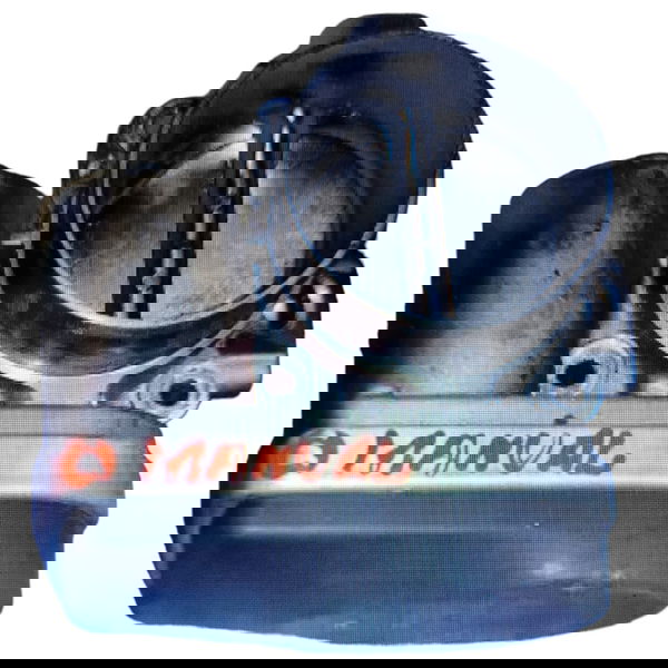 Tbi Fluence 2012 2.0 Manual Cx71