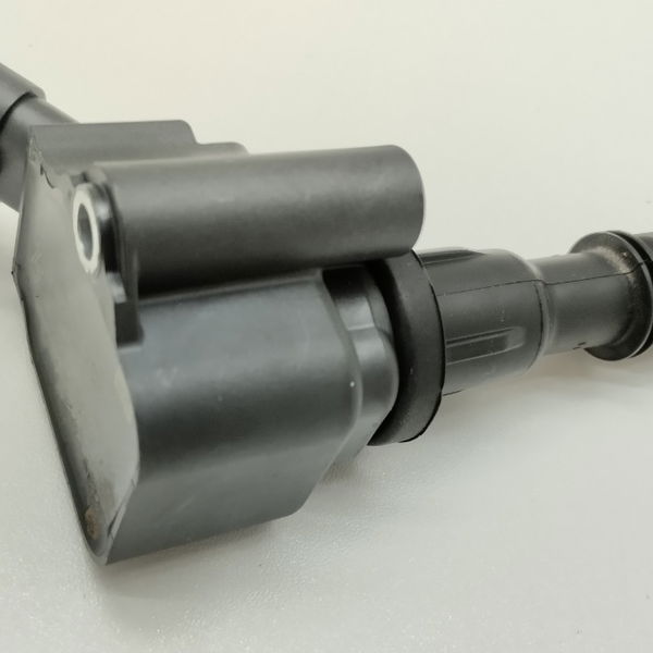 Bobina De Ignição Fiat Argo 1.3 2018