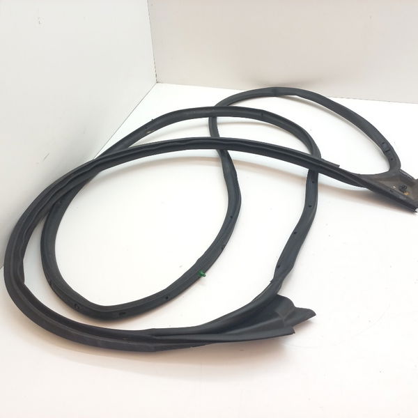 Borracha Porta Dianteira Direita Fiat Argo 1.3 2018
