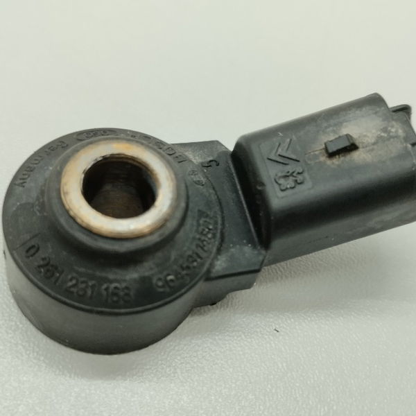Sensor Detonação Citroen C3 1.6 2004