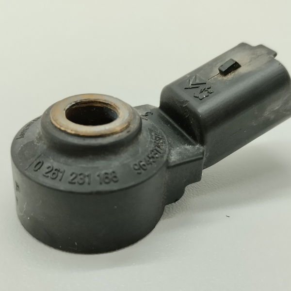 Sensor Detonação Citroen C3 1.6 2004