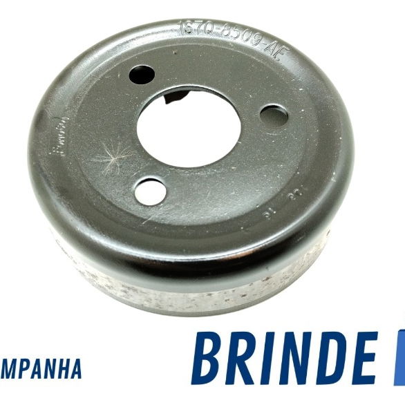 Polia Da Bomba De Agua Ford Focus 2.0 2016
