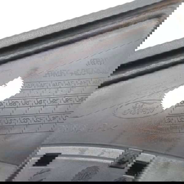 Moldura Porta Traseira Direita Ford Focus 2.0 2016