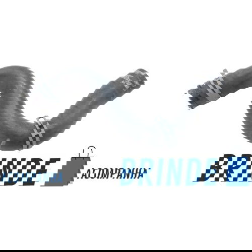 Mangueira Do Radiador Peugeot Partner Furgão 2018