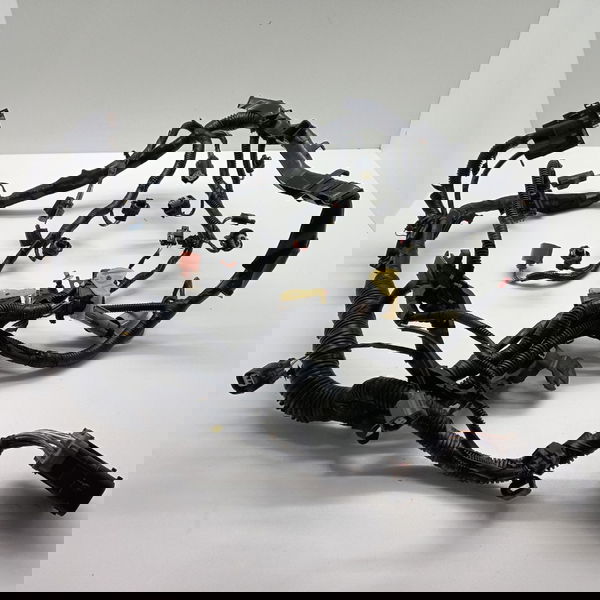 Chicote Do Motor Injeção Ford Ka Se 1.0 2018