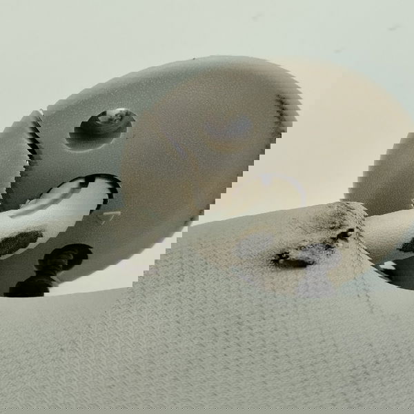 Quebra Sol Esquerdo Com Detalhe Onix 1.0 Turbo 2022