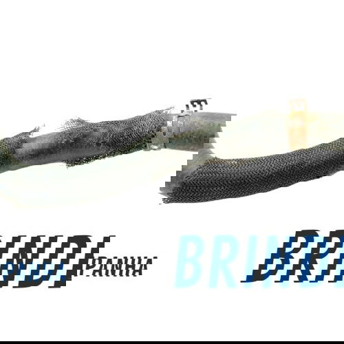 Mangueira Do Radiador Onix 1.0 Turbo 2022