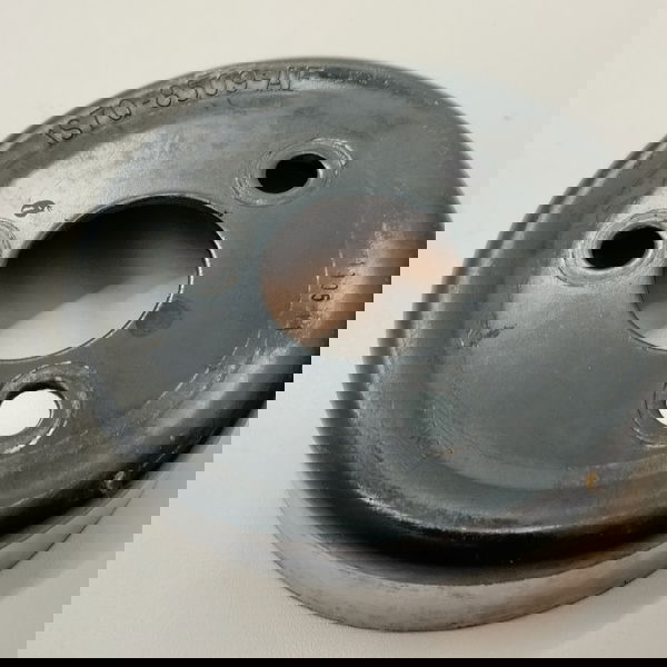 Polia Da Bomba De Agua Ford Ecosport Xlt 2.0 2011