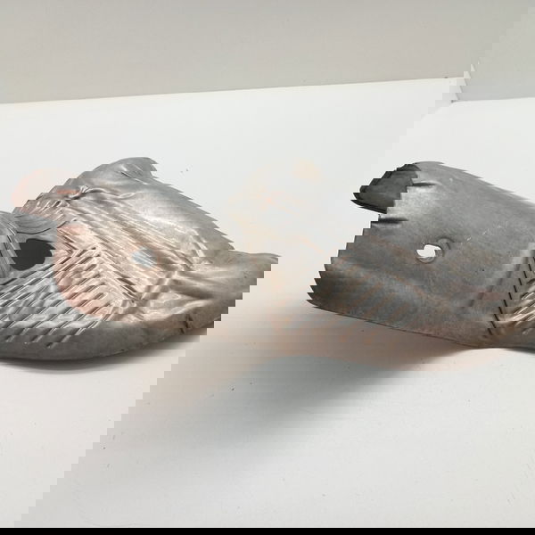 Chapa Defletor Protetor Catalisador Ford Focus 1.6 2013