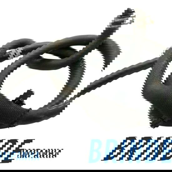 Mangueira Do Radiador Ford Focus 1.6 2012