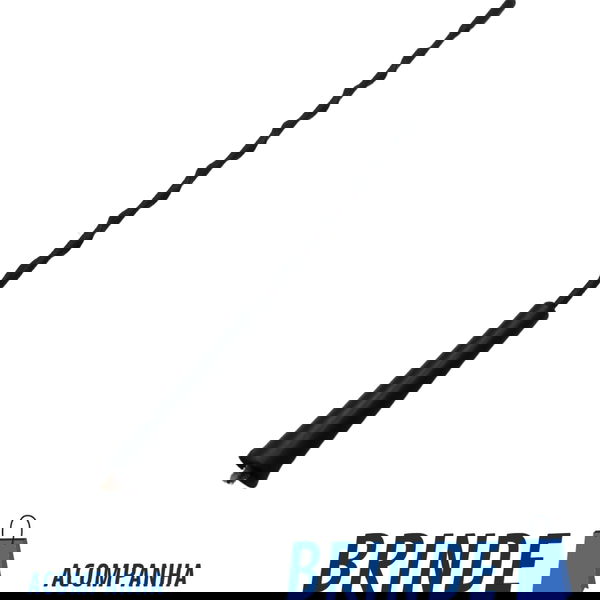 Antena Do Teto Renault Fluence 2.0 2014
