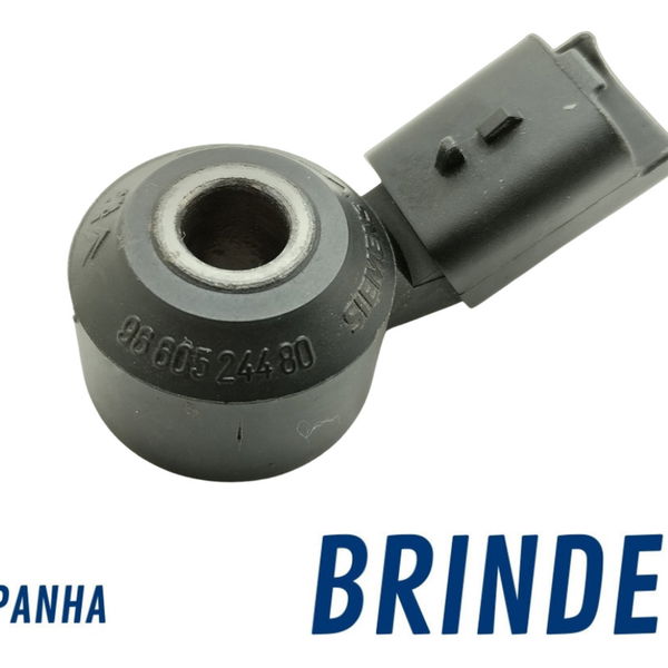 Sensor De Detonação Peugeot 207 Xr S 1.4 2010