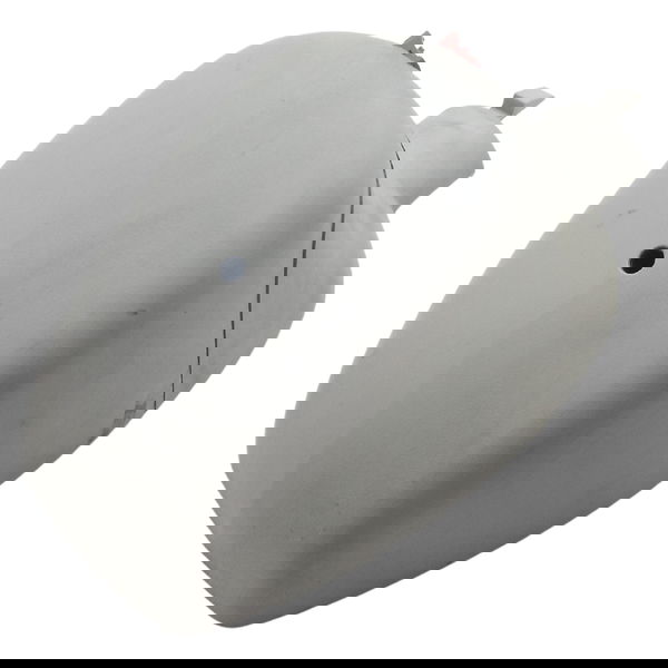 Moldura Retrovisor Interno Renault Captur 1.6 2019