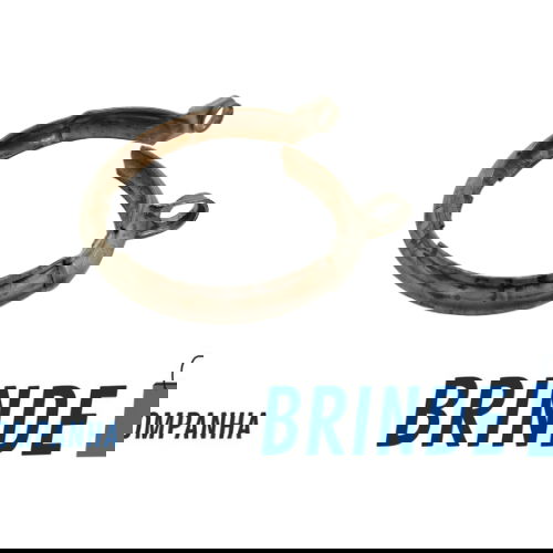 Braçadeira Da Turbina Ford Bronco Sport 2.0 2021