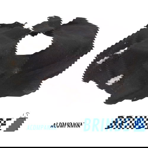 Protetor Roda Traseira Direita Ford Bronco Sport 2.0 2021