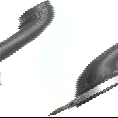 Mangueira Do Intercooler Ford Ranger Lx 13p 2009