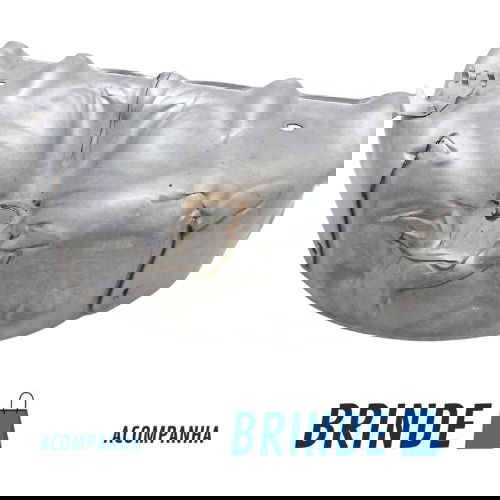 Defletor Calor Catalisador Peugeot 408 Sedan Griffe 2.0 2012