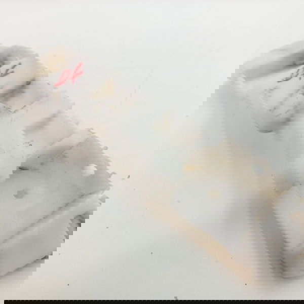 Suporte Parachoque Dianteiro Esquerdo Renault Logan 1.0 2021