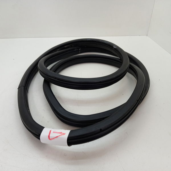 Borracha Porta Traseira Direita Honda Civic Sport 2.0 2017