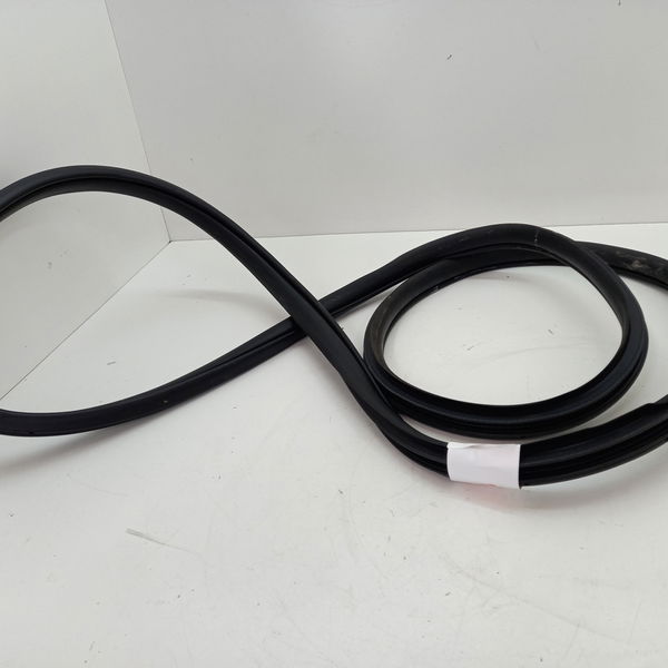 Borracha Porta Traseira Direita Honda Civic Sport 2.0 2017