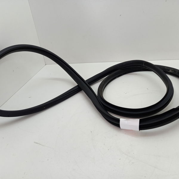 Borracha Porta Traseira Esquerda Honda Civic Sport 2.0 2017