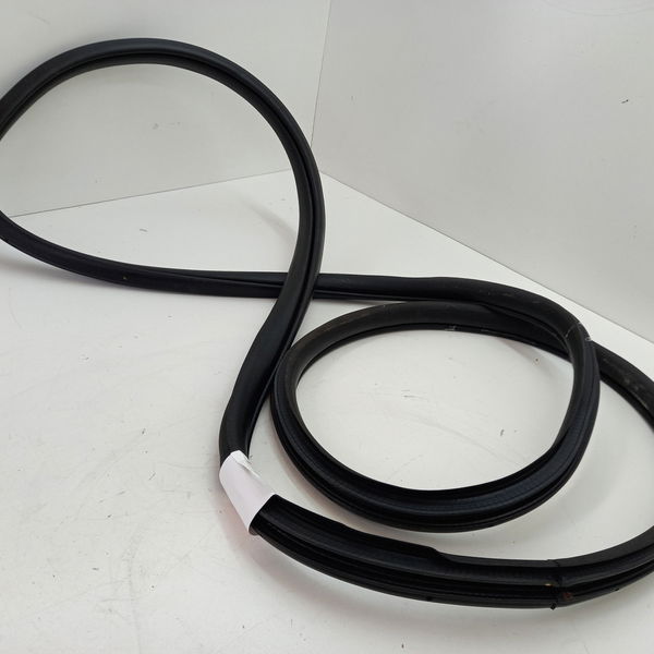 Borracha Porta Traseira Esquerda Honda Civic Sport 2.0 2017