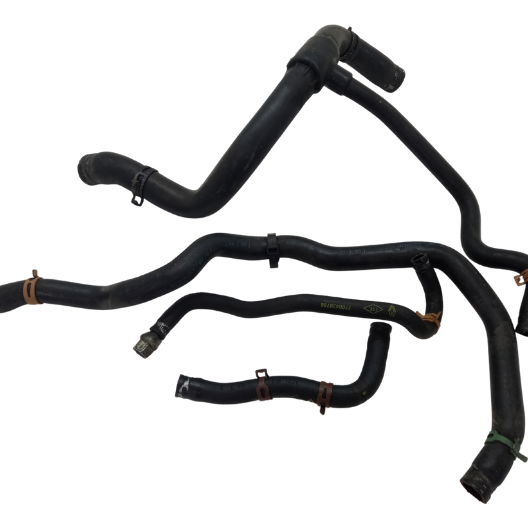 Mangueira Do Radiador Renault Scenic Exp 2004