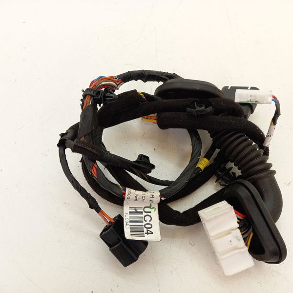 Chicote Da Porta Traseira Esquerda Hyundai  1.6 Action 2021