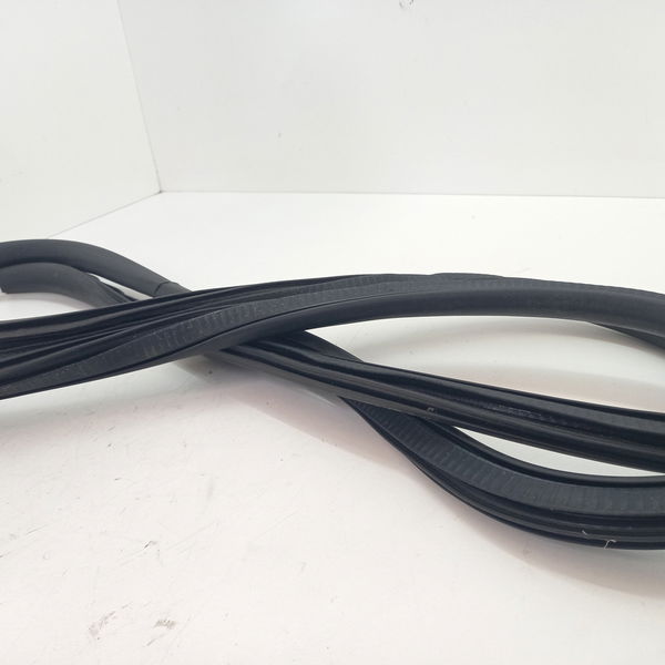 Borracha Da Porta Dianteira Direita Chevrolet 1.4 Ltz 2016