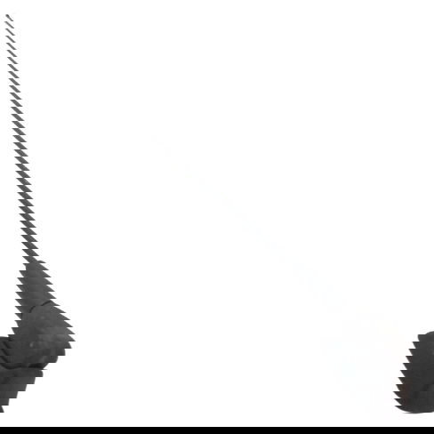 Antena Do Teto Renault Kwid Zen 2020