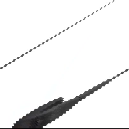 Antena Do Teto Renault Kwid Zen 2020