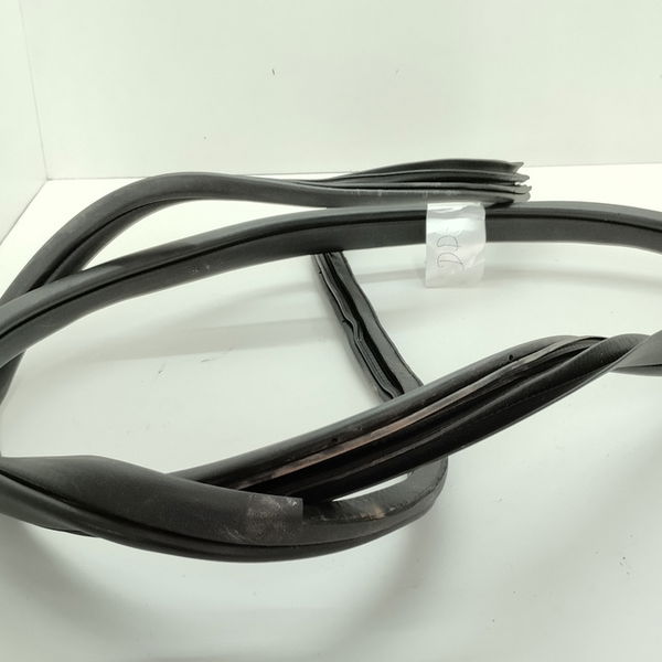 Borracha Porta Dianteira Esquerda Hyundai Hb20 Sense 2021