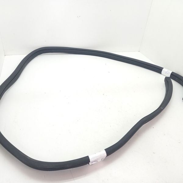 Borracha Porta Dianteira Direita Hyundai Hb20 1.0 Sense