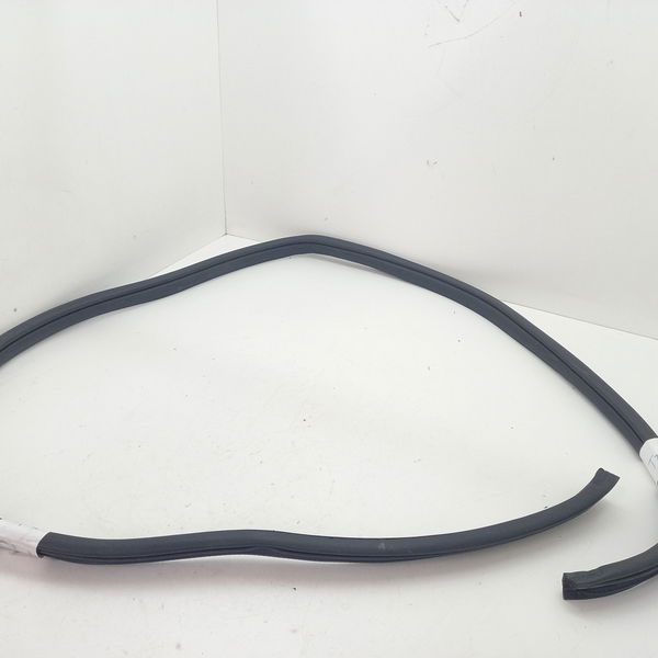 Borracha Porta Dianteira Direita Hyundai Hb20 1.0 Sense